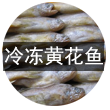 冷凍海參